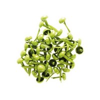 Nom de produit en langue en