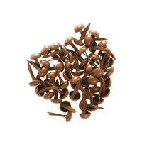 Nom de produit en langue en