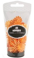 Nom de produit en langue en