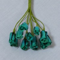 Nom de produit en langue en