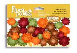 Fleurs mini delphiniums mix 1 - Petaloo