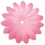 Bazzil blossom - Piglet