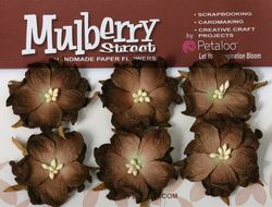 Fleurs Mulberry street MARRON - Petaloo