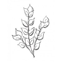 Tampon clear LEAVES - Kaisercraft