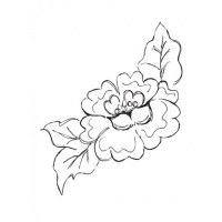 Tampon clear CORNER FLOWER - Kaisercraft