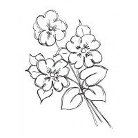 Tampon clear BOUQUET - Kaisercraft