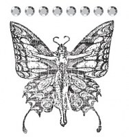 Tampon clear BUTTERFLY - Prima