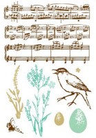 Tampons clear SONGBIRD - Prima
