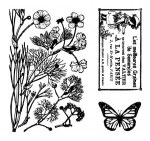 {Herbier}Tampons clear HERBES A PAPILLON - Sultane