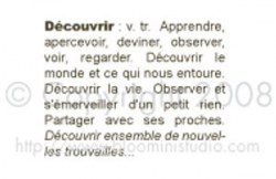 Tampon DEFINITION DECOUVRIR - Bloomini