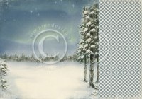 {Wintertime in swedish lapland}Northern lights - Pion design