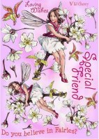 Tampon non monté WILD CHERRY 