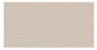 Cardstock Bazzill TWIG / CANVAS