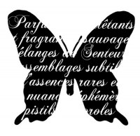 Tampon clear PAPILLON - Pandore