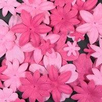 Fleurs FLORIPETAL CAMELIA - BELLE DE NUIT