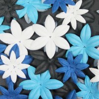 Fleurs FLORIPETAL CAP SUR L'HIVER