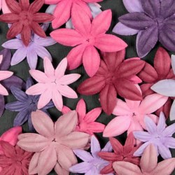 Fleurs FLORIPETAL COTE FILLE