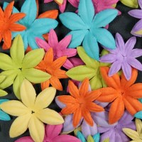Fleurs FLORIPETAL CAP SUR L'ETE