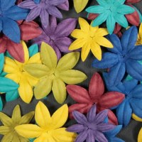 Fleurs FLORIPETAL LES PROFONDS