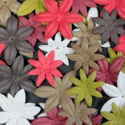 Fleurs FLORIPETAL TRADITION DE NOEL