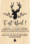 {Capsule novembre 2016} Tampon bois NOEL AUX 1000 ETOILES - Florilèges