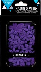 Fleurs Floripetal MYRTILLE - Florilèges