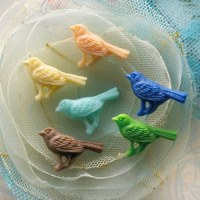 Embell. COUNTRY BIRDS WHIMSY - Webster