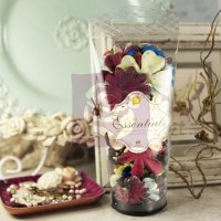 Fleurs essantials 10 MOULIN ROUGE - Prima