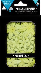 Fleurs Floripetal CELERI - Florilèges