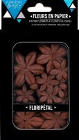 Fleurs Floripetal BROU DE NOIX - Florilèges