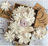 Boxed flowers DOCUMENTED BEAUTY + tags -Prima