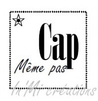 Tampon clear MEME PAS CAP - In'Mi Creations
