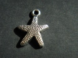 Charm ETOILE DE MER