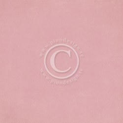 {Palette}Pion PINK IV - Pion design