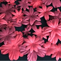 Fleurs FLORIPETAL LITCHI-GROSEILLE