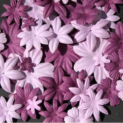 Fleurs FLORIPETAL LILAS-IRIS