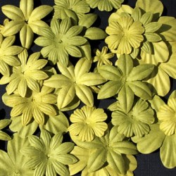Fleurs FLORIPETAL BOURGEON-FEUILLAGE