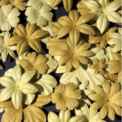 Fleurs FLORIPETAL VERVEINE-MOUSSE