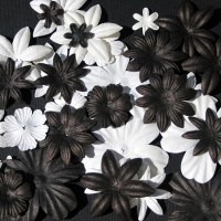Fleurs FLORIPETAL VOILE DE LAIT-REGLISSE