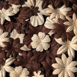 Fleurs FLORIPETAL CREME-CACAO