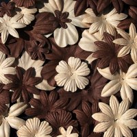 Fleurs FLORIPETAL CREME-CACAO