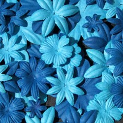 Fleurs FLORIPETAL CIEL-MARINE