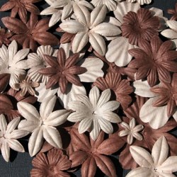 Fleurs FLORIPETAL CAFE-CHOCOLAT