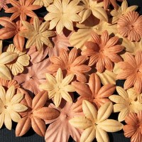 Fleurs FLORIPETAL MANDARINE-ORANGE
