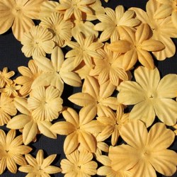 Fleurs FLORIPETAL CITRON-BANANE