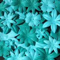 Fleurs FLORIPETAL LAGONS-CARAIBES