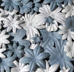 Fleurs FLORIPETAL NUAGE-ORAGE
