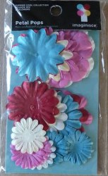 Fleurs SEASIDE MIX - Imaginisce