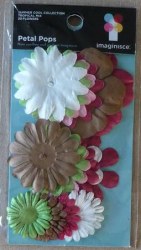 Fleurs TROPICAL MIX - Imaginisce
