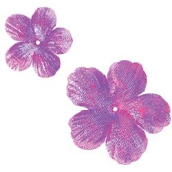 Fleurs rainbow blooms VIOLET